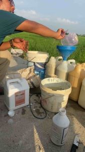 Strong 10x booster anti insect plant