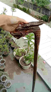 tongkat jalan kayu galih asem ukir naga galak S26