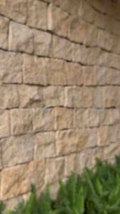 [KHÔNG ĐEN GỈ] Dây chuyền vòng cổ titan không gỉ charm tim mã 123 Ciao accessories