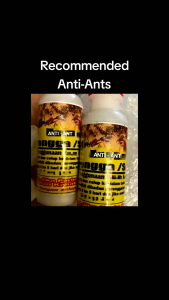 RECOMMENDED Anti-Ants ( Semut / Kerengga / Serangga )