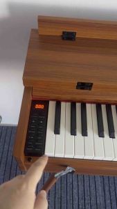 JWC MUSIC HP620 BROWN 88KEYS PIANO WEIGHTED DIGITAL PIANO