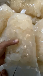 Kolang Kaling | Buah Aren | Biji Pohon Aren Segar Berat 1 KG