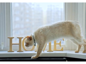 Cat Water Dispenser รุ่น EW2 น้ำพุแมวอัตโนมัติ