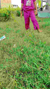 Setelan anak perempuan anomali Ballerina cappuccina tung tung sahur Oneset crop top anak cewe viral terbaru usia 6bln-6tahun Fashion Baju anak