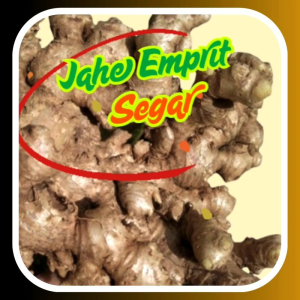 jahe emprit segar/fresh. kemasan 500 gr dan 1000 gr