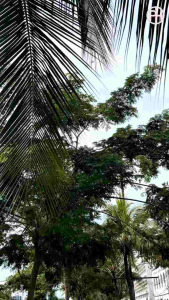 Pelangi Hijab Gamis Thalia Batch 19: Pakaian Hijab Elegan