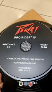 SPEAKER PRO RIDER 800 WATT 15 INCH 800 WATT KOMPONEN