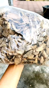 1kg Nghệ Đen Khô Thái Lát Bột Nghệ Đen Tinh Bột Nghệ Đen Tốt Cho Dạ Dày Hệ Tiêu Hoá Đường Ruột.