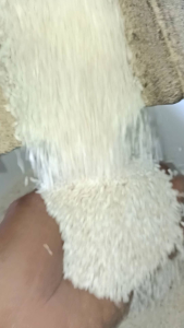 Beras Ketan Lokal Putih Kemasan 5kg