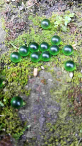 batu akik mustiko lipan ijo lumut 6 mm