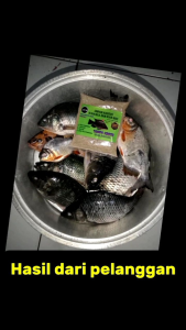 UMPAN KHUSUS IKAN NILA DAN IKAN MAS