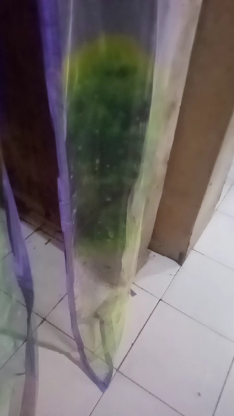 Buyer review video 3