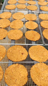 ถั่วเน่าแผ่น ถั่วเน่าทรงเครื่อง 10แผ่น ขนาดใหญ่ ดิบ สูตรเข้มข้น ใส่น้ำเงี้ยว เชียงใหม่