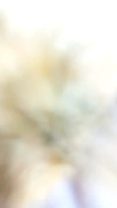 GELANG + CINCIN BANGKOK PERHIASAN DUBAI TERBARU