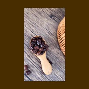 วานิลาฝักแท้แพ็ค1ฝักใหญ่(15-22cm)ฉ่ำๆ เมล็ดเต็มๆ มี อ.ย.&OTOPรับประกัน Sam’s Vanilla หอมเต็มฝักบรรจุซองพ ลาสติกสุญญากาศ