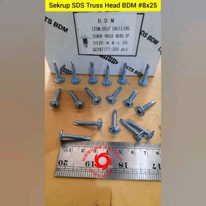 (50 pcs) Sekrup Roofing Truss Head SDS 8x25 mm / Skrup Truss Head 2.5CM