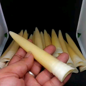 Pipa Once Tulsap Import Super Kristal Padat Model Tarduy Panjang 14cm & 15cm