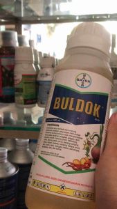 Buldok 25EC 500ML