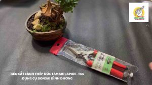 KÉO CẮT CÀNH THÉP ĐÚC TAMAKI JAPAN - T66 - KÉO CẮT CÀNH CÂY CẢNH BONSAI THÉP ĐÚC JAPAN