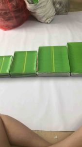 Khay Lá Chuối Dĩa Chữ Nhật Nhựa Melamine Đủ Cỡ 2 Màu Lựa Chọn (Xanh Vàng) - Hàng FATACO Việt Nam