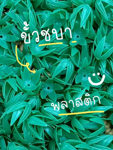 ขั้วชบา ขั้วชบาพลาสติก ขั้วชบาสำเร็จรูป