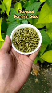 SNACK SEHAT HAMSTER PUMPKIN SEED 100 GRAM