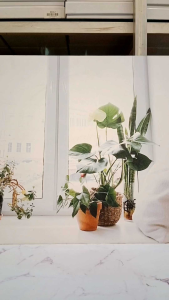 Panduan Memilih Dompet Pria Kasual, Tahan Lama, dan Praktis