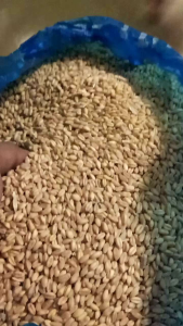 TRIGO WHOLE WHEAT (BULGUR) 1kg: Nutritious Grain for Diet