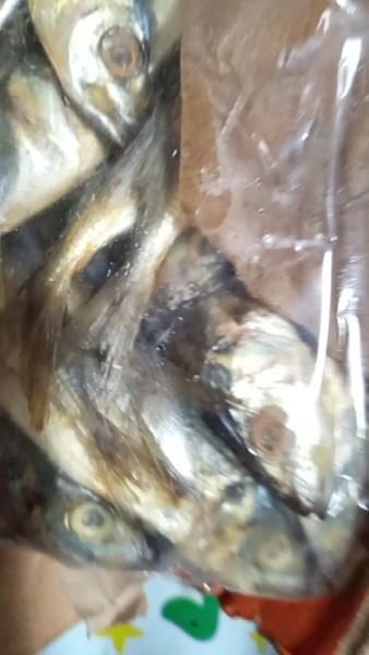 Buyer review video 2