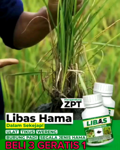 PUPUK LIBAS PEMBASMI HAMA PADA TANAMAN & MENGANDUNG ZPT isi 100ml (Promo Beli 3 Gratis 1)