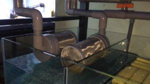 Ống tách phân bể cá hồ Koi hồ non bộ bọc lưới inox 304. Phân loọi dài 30cm Kích Thước 30Cm Cho Hồ Cá Dụng Cụ Vệ Sinh Bể Cá - Lazada