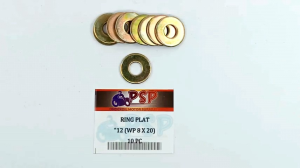 Ring Plat "12 (WP 8 X 20) Harga Per Pak Isi 10 - Reng Plate Pelat Washer Kunci 12 Diameter 8mm x 20mm Tebal 14mm
