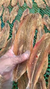 KHÔ CÁ MỐI LỚN RÚT XƯƠNG 3 Nắng LOẠI ĐẶC BIỆT (Tẩm Vị Ăn Ngon)