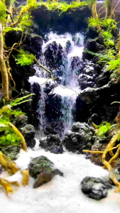 Cát trắng hoàn toàn tự nhiên trang trí bể cá tiểu cảnh gói 200g -500g