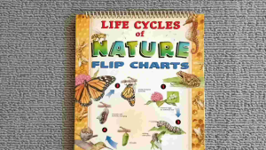 Preloved Life Cycles of Nature Flip Charts 16 Exciting Educational Charts Inside