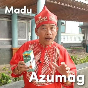 Madu azzura Azumag untuk penyakit lambung