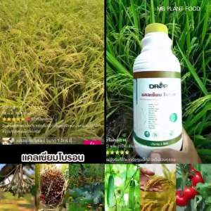 แคลเซียมโบรอน ขายยกลัง 12 ขวด/ราคาส่ง ขนาด1 ลิตร ปุ๋ยคีเลต