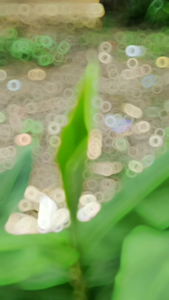 Bodeng madura asli / boding jumbo super besar / pisau baja per asli super tajam / peralatan pedagang daging ayam atau sapi dan kambing / pisau pemotong daging ayam sapi dan kambing super tajam