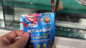 อาหารปลากัด Okiko Betta Bright Super Color (จัดส่งเร็ว) สูตรพรีเมี่ยม สำหรับปลากัดทุกสายพันธุ์