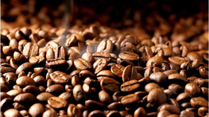 Kopi Arabika Cibulao Puncak Bogor: Biji Kopi Berkualitas Tinggi