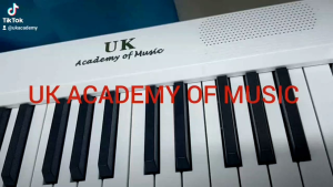 UK UPGRADE PRO WEIGHTED ACTION RECHARGEABLE & BLUETOOTH 88 KEYS FOLDABLE TRAVELER PIANO MIDI