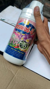 Siêu kích rễ B1 Grofer Thái Lan Hàng nhập khẩu Thái 1 lít