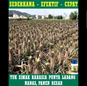 Pupuk Garden 68 Smart Garden Choice Vitamin Tanaman 100gr