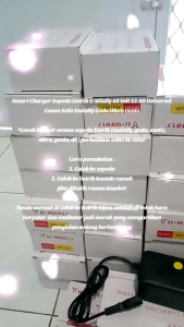 CHARGER SEPEDA LISTRIK UNIBERSAL KUALITAS HIQ 48V 12 AH