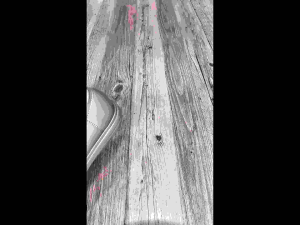 AROMA POLO Ladies Comfort Full Cover Shoes (AP26-8601) Col: (BLA/CAM) Size:(36-41)