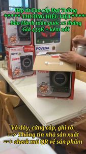 Bếp Từ Cao Cấp [ THƯƠNG HIỆU VIỆT - BH 1 NĂM] - ĐẠT TƯỜNG + kèm nồi inox dày 30cm