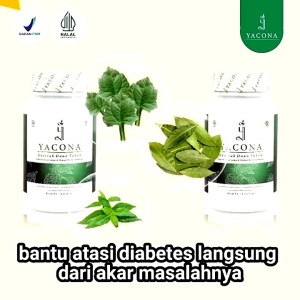 YACONA – Obat Herbal Mengatasi Diabetes Dan Kencing Manis Resmi BPOM