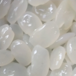 Jual Kulang Kaling Segar Muda 10 Kg