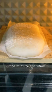 Ciabatta Italian Bread Biga. High hydration Artisan Bread Long fermentation