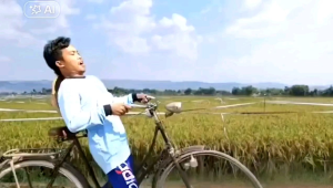 Bibit Padi M70D M70 Benih M-70 M Tani 5KG